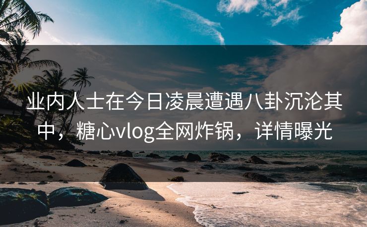 业内人士在今日凌晨遭遇八卦沉沦其中，糖心vlog全网炸锅，详情曝光