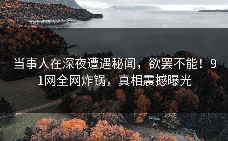 当事人在深夜遭遇秘闻，欲罢不能！91网全网炸锅，真相震撼曝光