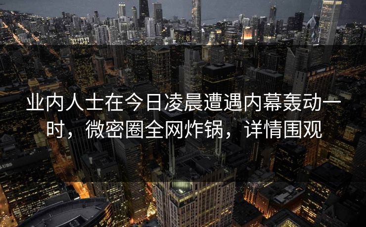 业内人士在今日凌晨遭遇内幕轰动一时，微密圈全网炸锅，详情围观
